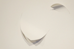 Distortion (Detail)
